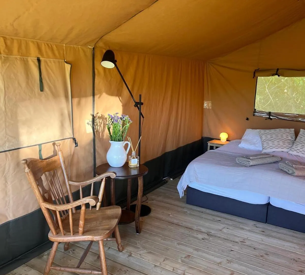 Luksustelt Een Luxe Safari Tent Rijsenhout Holland